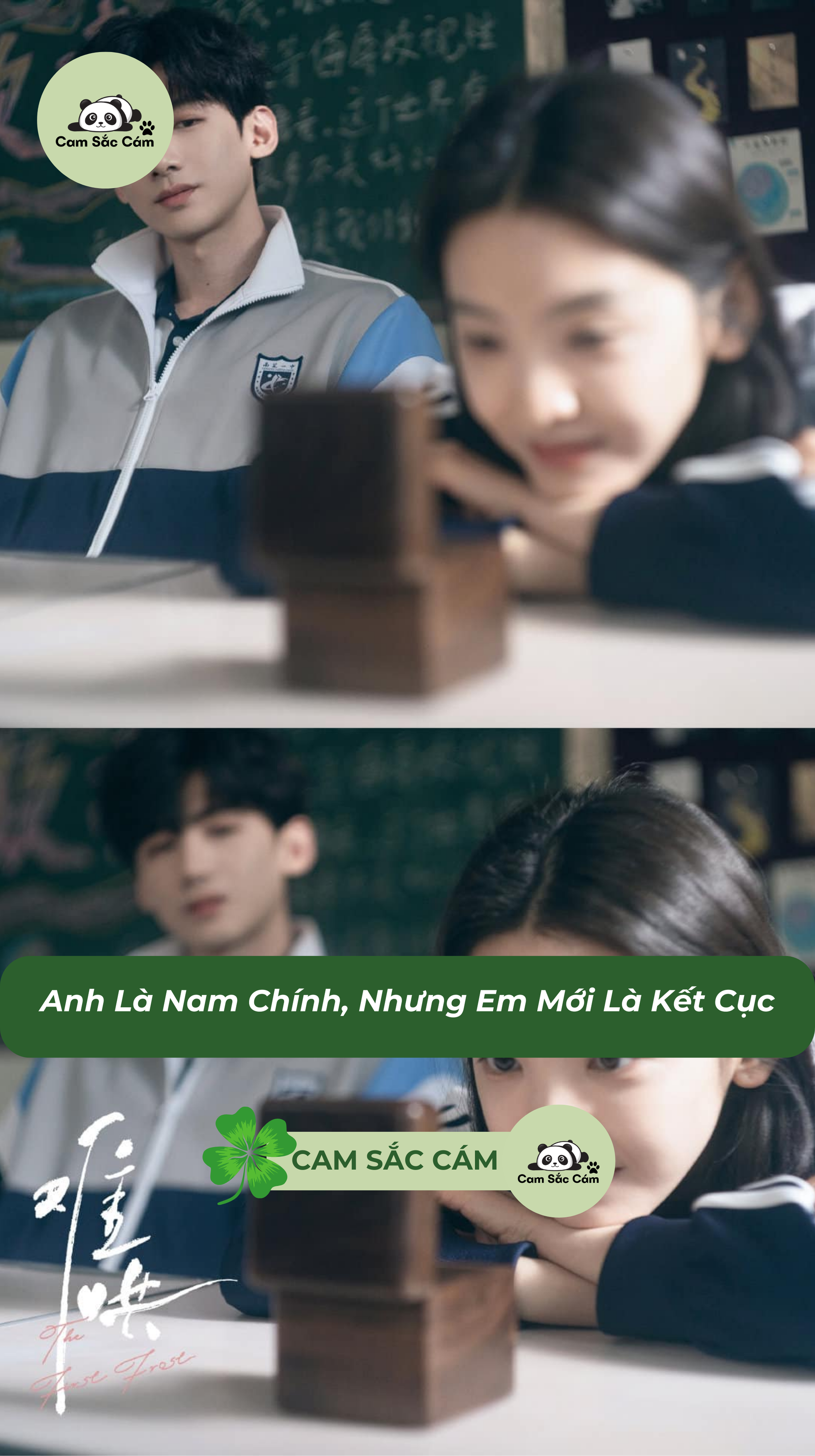 Anh Là Nam Chính, Nhưng Em Mới Là Kết Cục