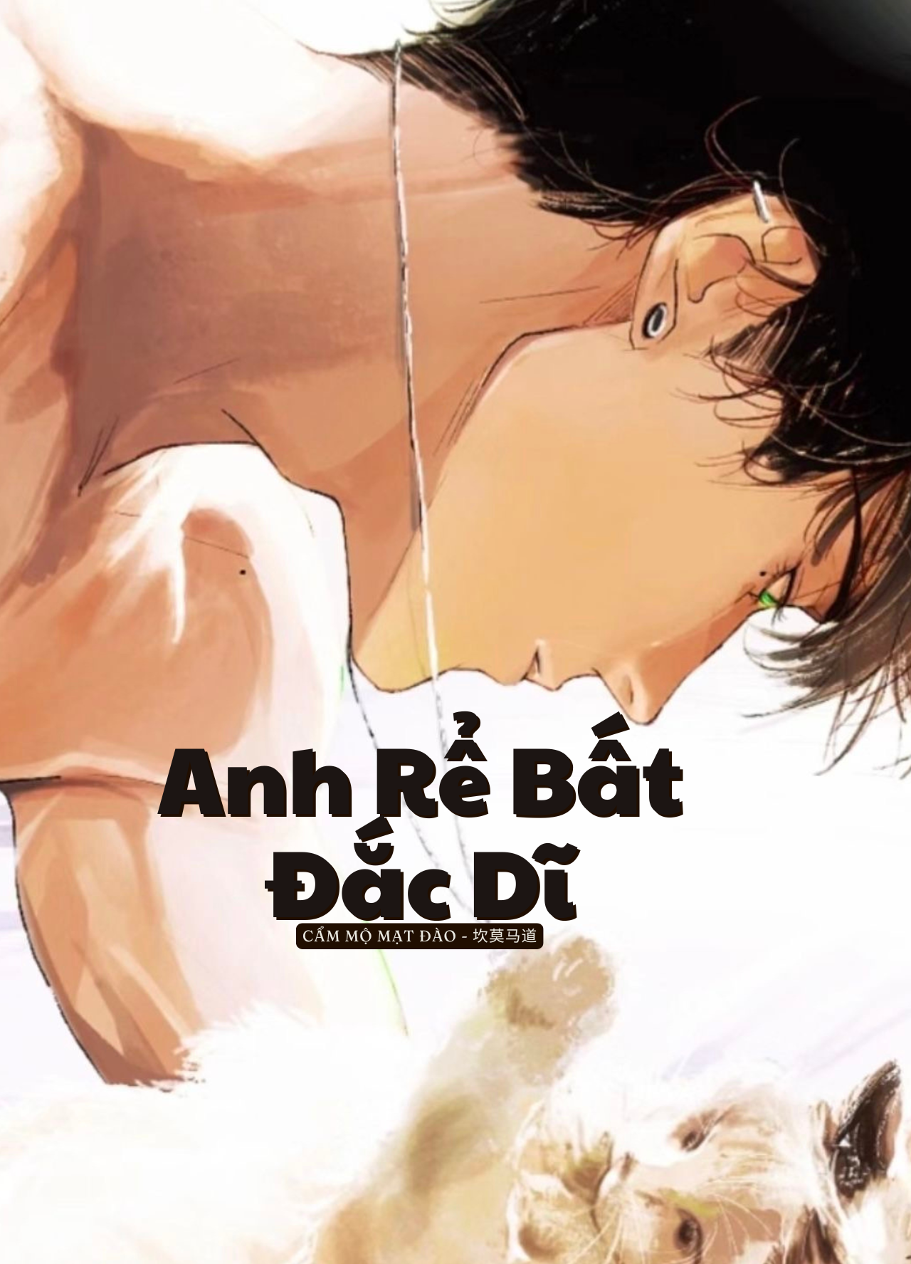 Anh Rể Bất Đắc Dĩ