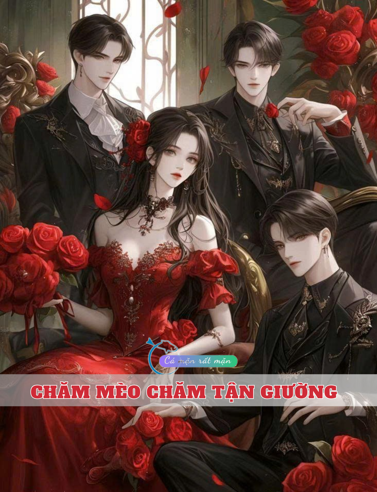 Chăm Mèo Chăm Tận Giường