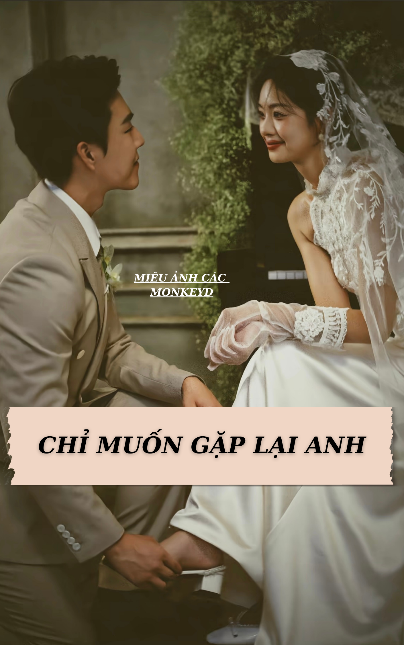Chỉ Muốn Gặp Lại Anh