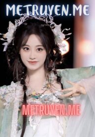 Chính Phi Mưu Lược