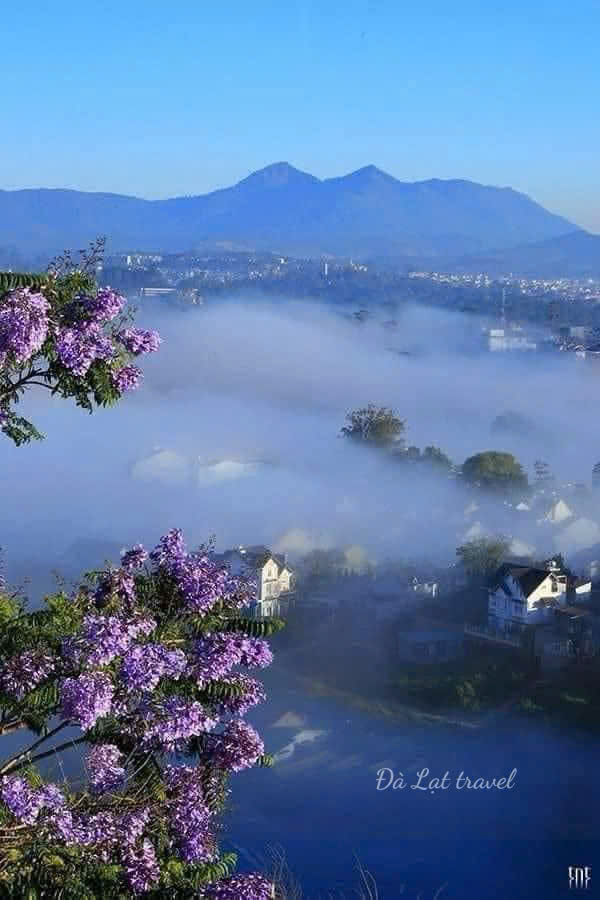 CƯỚI TRƯỚC YÊU SAU