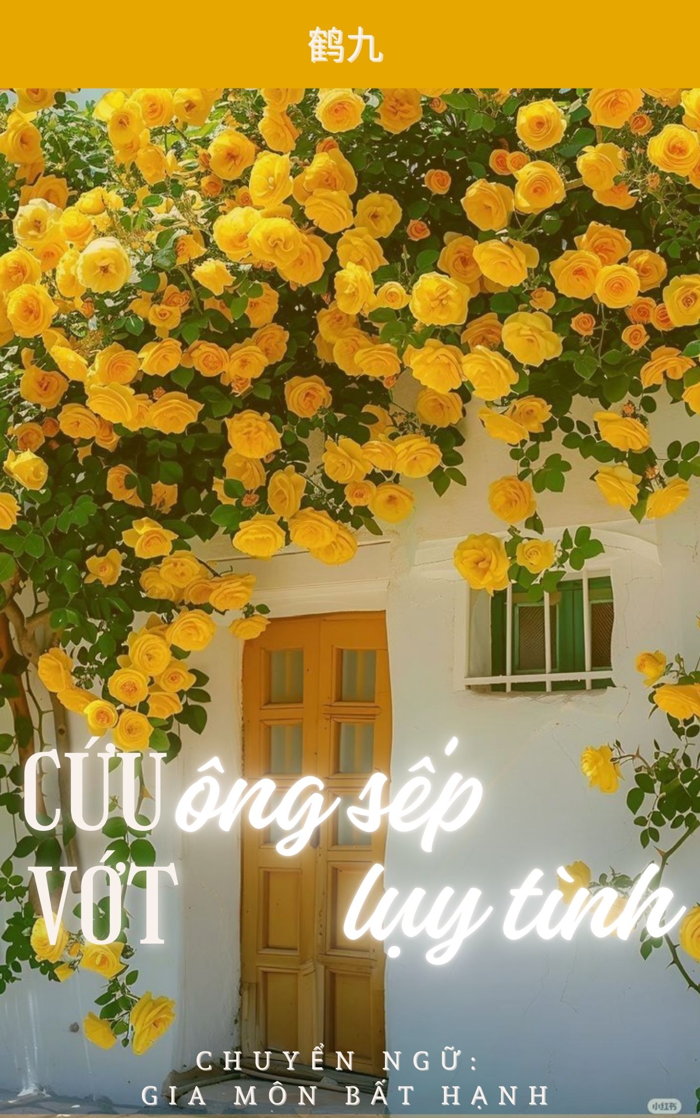 CỨU VỚT ÔNG SẾP LUỴ TÌNH