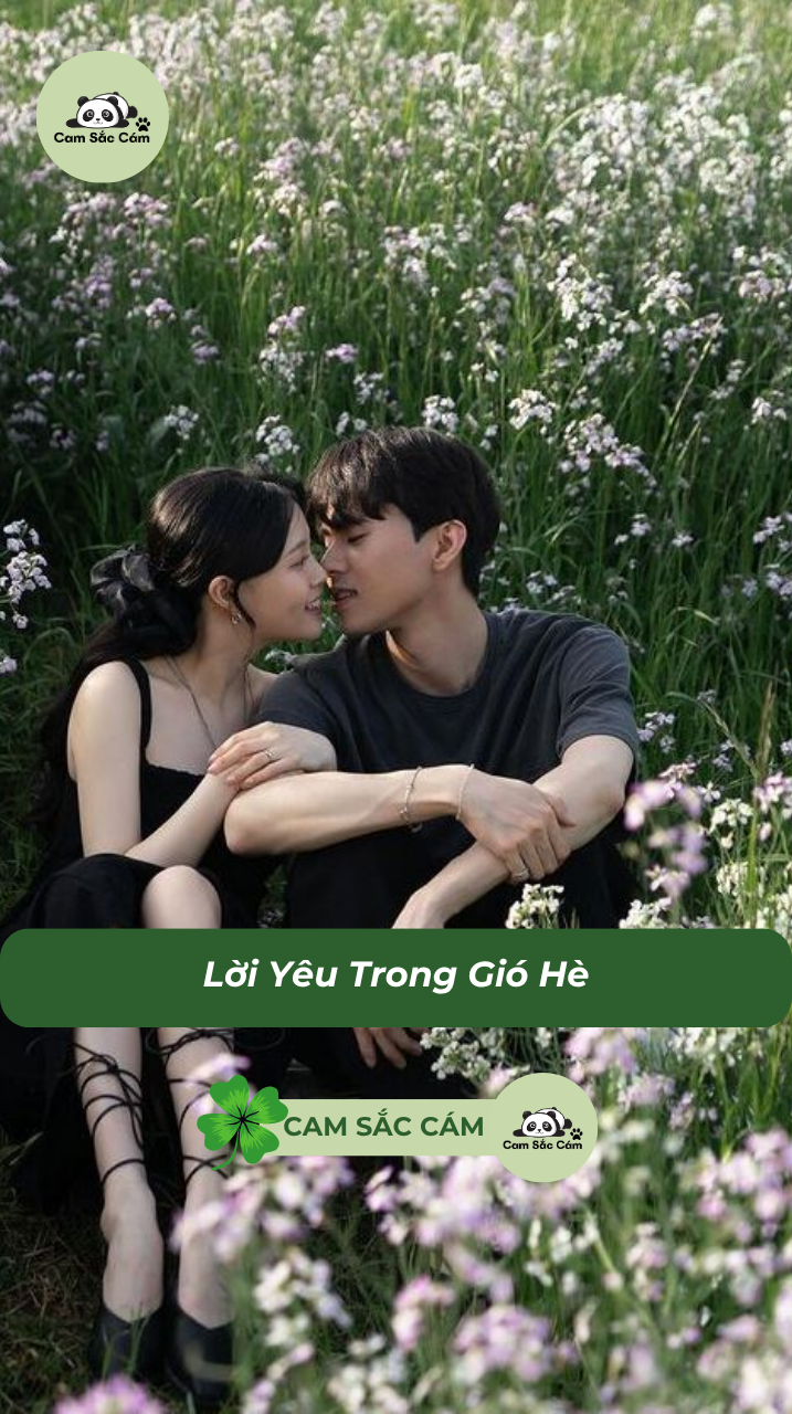 Lời Yêu Trong Gió Hè