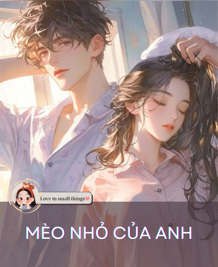 MÈO NHỎ CỦA ANH