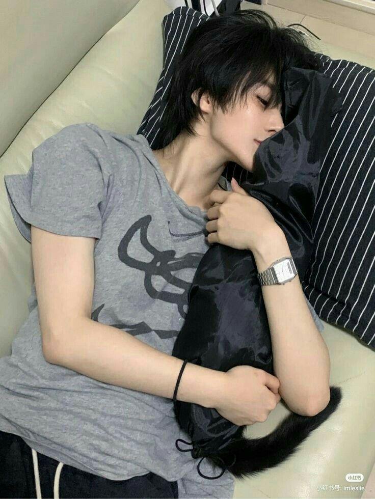 Mèo Tinh Cũng Có Mùa Xuân