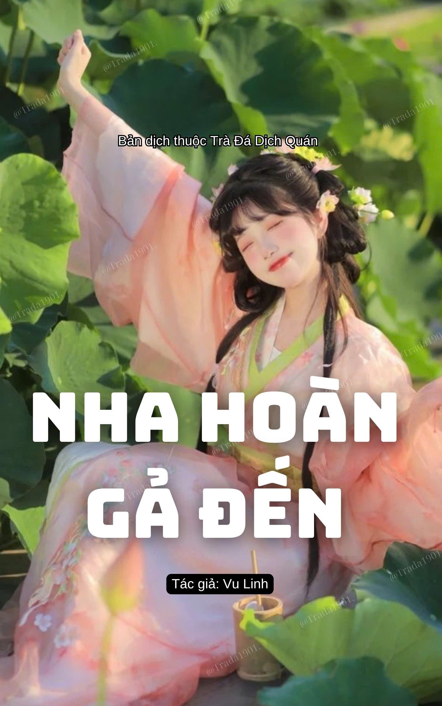 Nha hoàn gả đến