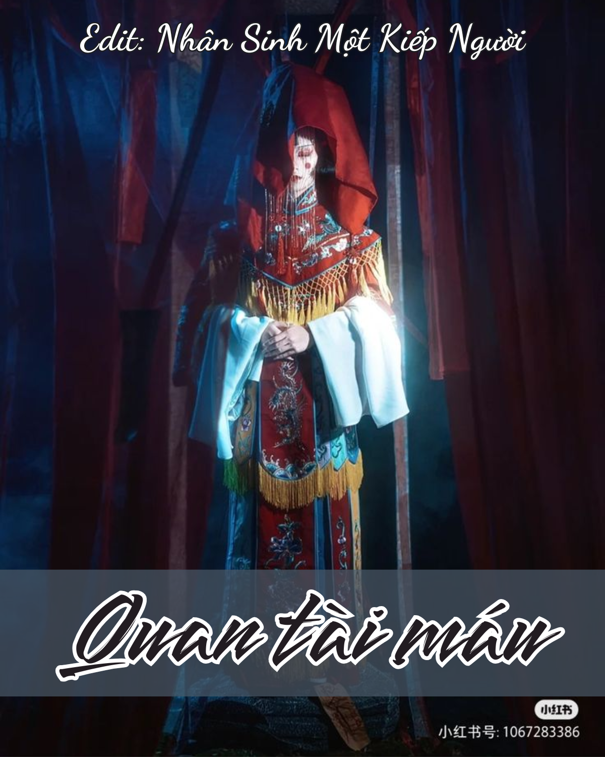 QUAN TÀI M//ÁU