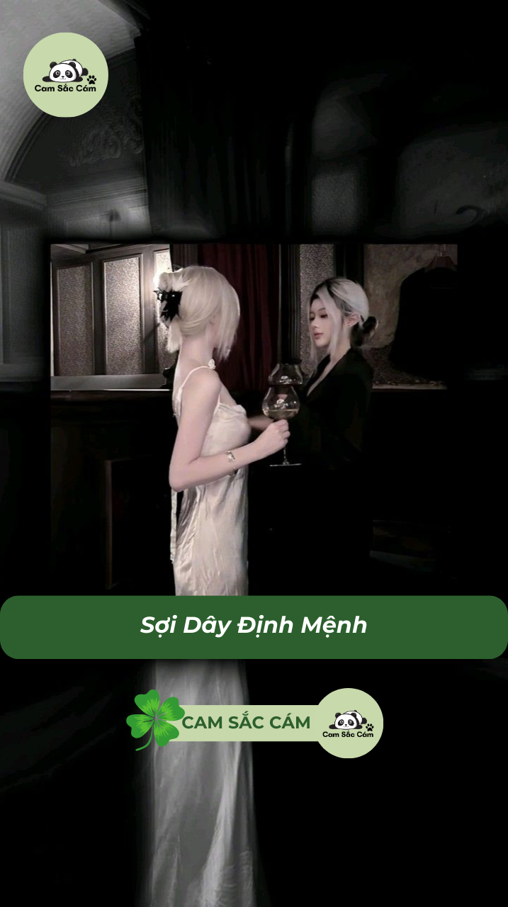 Sợi Dây Định Mệnh