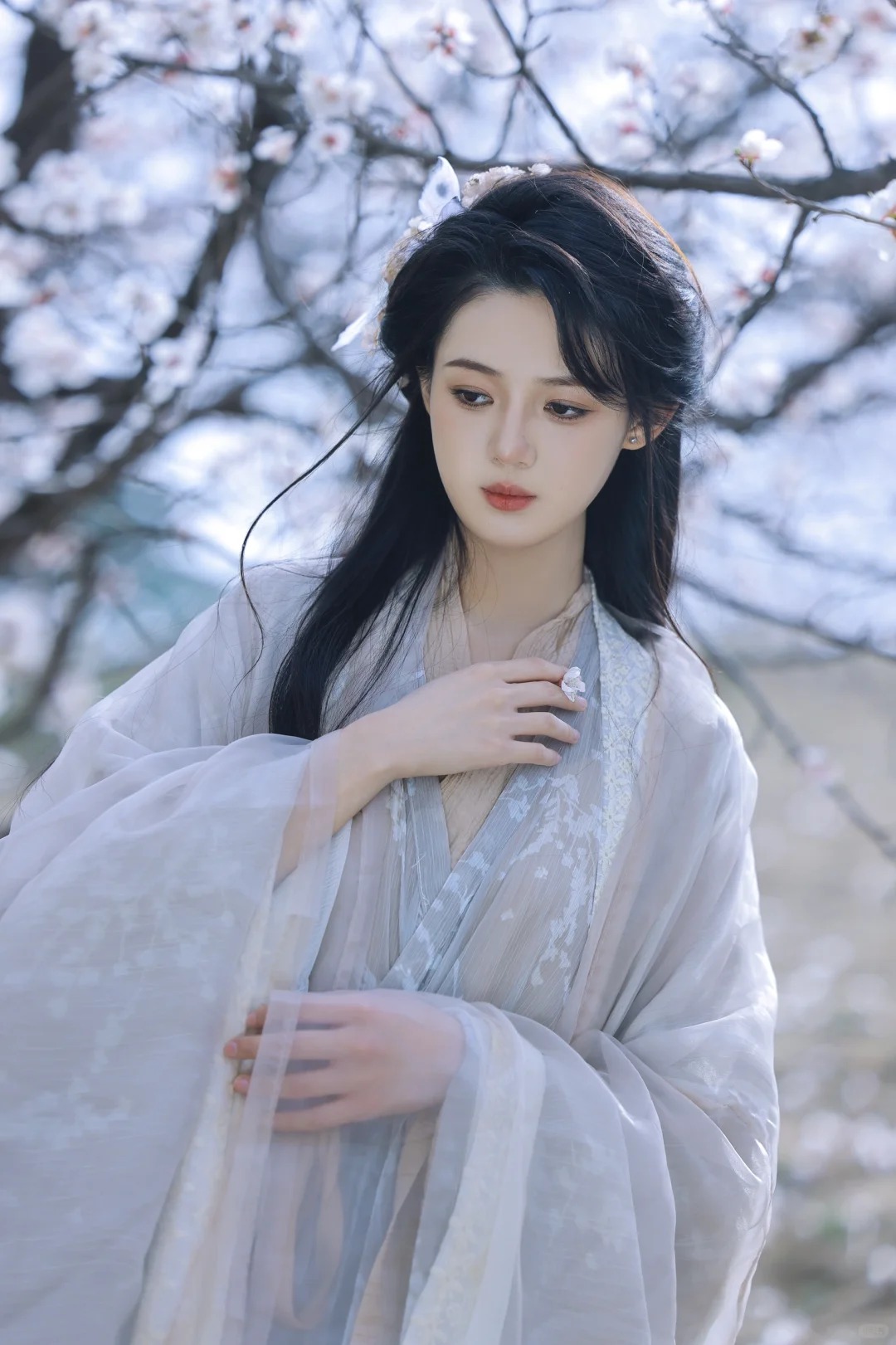 THANH HÀ BIỆT MỘNG