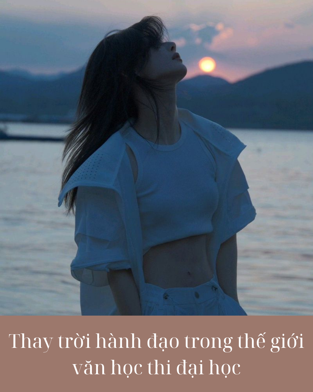 Thay trời hành đạo trong thế giới văn học thi đại học