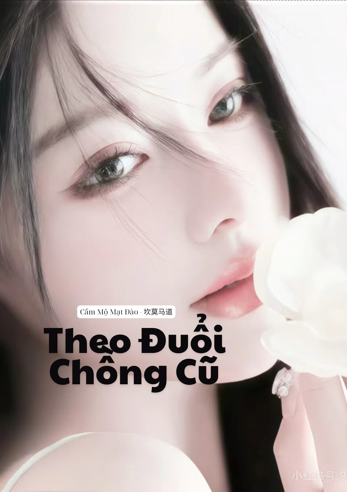 Theo Đuổi Chồng Cũ