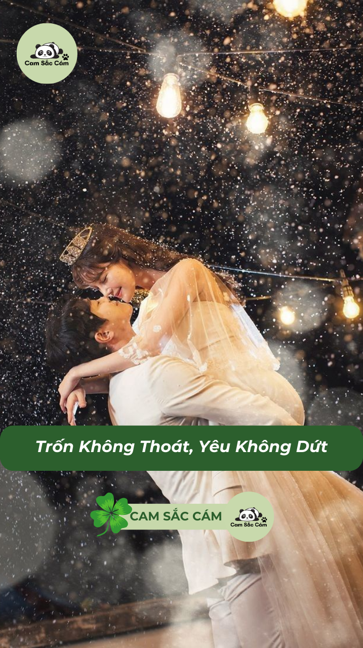 Trốn Không Thoát, Yêu Không Dứt
