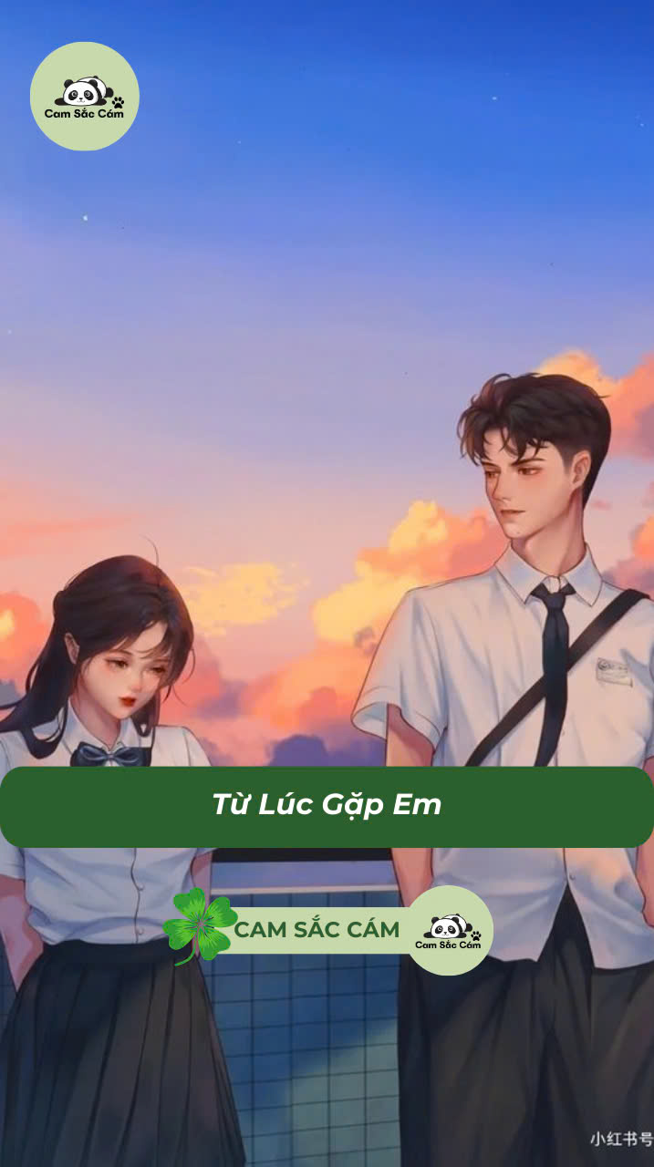 Từ Lúc Gặp Em